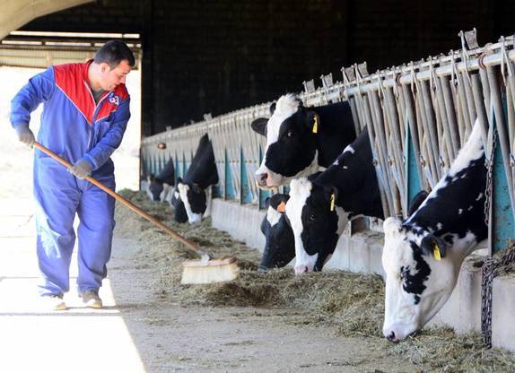 La Junta y el Ministerio 'siguen cruzados de brazos'