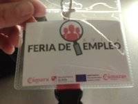 Ávila no levanta cabeza ni con el V Centenario