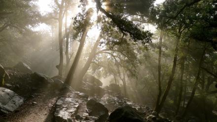 Ecología sí, violencia no