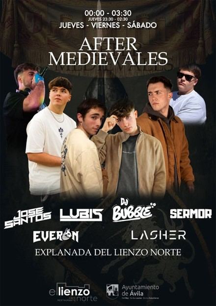 Conciertos y DJs animarán las Jornadas Medievales de Ávila 2026