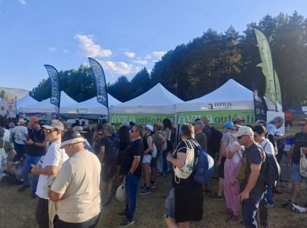 Músicos en la Naturaleza 2026: éxito total y productos agotados en Ávila Auténtica