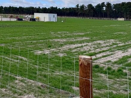 Jornada en El Oso sobre agricultura sostenible y gestión del agua