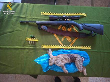 Furtivo detenido en Ávila por caza ilegal con rifle y conejo abatido