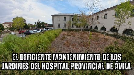 El deficiente mantenimiento de los jardines del Hospital Provincial de Ávila