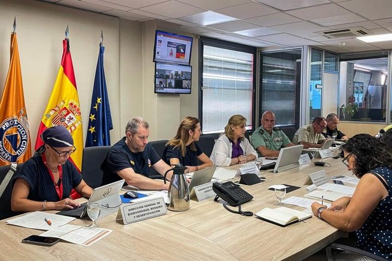 El Gobierno coordina recursos para combatir incendios forestales en comunidades afectadas