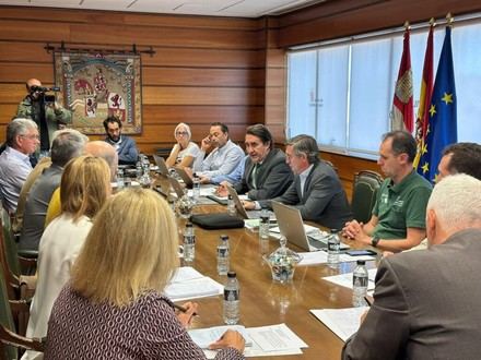 La Junta de Castilla y León se reúne para abordar el futuro del sector forestal tras los incendios