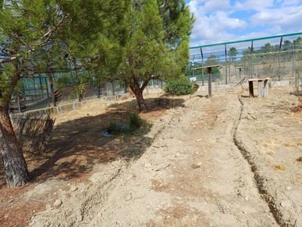 La Junta implementará sensores ópticos para proteger al lince ibérico y mejorar la seguridad vial