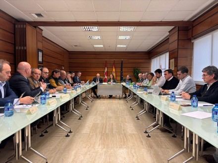 Junta de Castilla y León crea un Comité de Expertos para combatir la Peste Porcina Africana