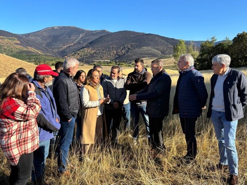 La Junta de Castilla y León destina 5,3 millones al sector agrario tras incendios