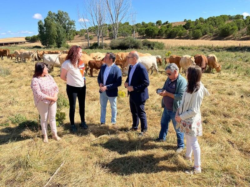 Castilla y León destina 4,9 millones de euros para fomentar el relevo generacional en explotaciones agrarias