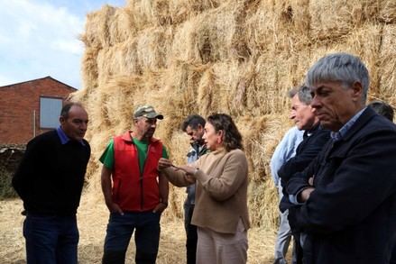 La Junta distribuye 3,8 millones de kilos de alimentos a ganaderos afectados por incendios