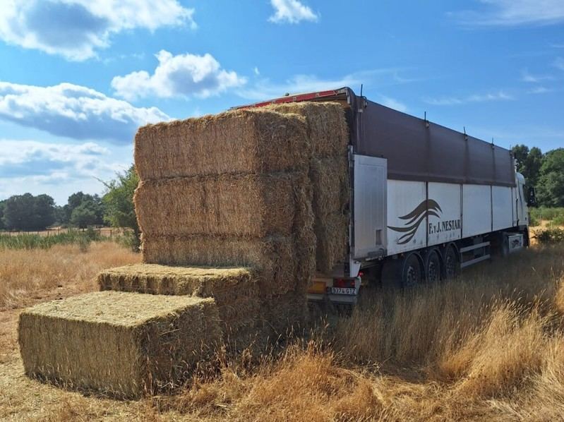 Junta de Castilla y León entrega 922.000 kilos de alimentos a ganaderos afectados por incendios