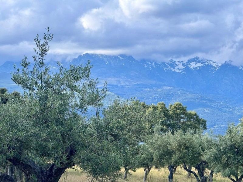 Ávila promueve su patrimonio natural en ferias de turismo en Segovia y Tarragona