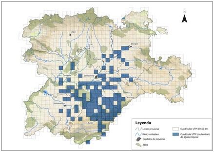 Récord histórico de águila imperial ibérica en Castilla y León con 191 territorios en 2024