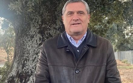 Pascual solicita a la Junta aumentar y agilizar indemnizaciones para ganaderos afectados por lobos