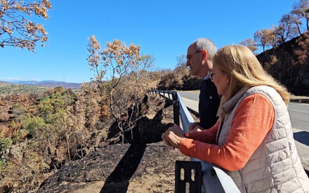 Por Ávila pide limpiar cunetas para evitar contaminación tras el incendio