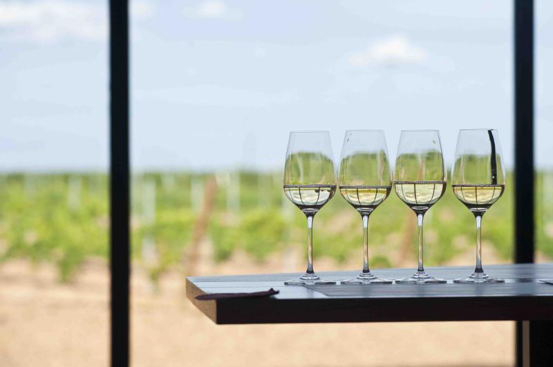 La Junta presenta más de 60 actividades de la Semana Europea del Enoturismo bajo la nueva imagen Rutas del Vino Castilla y León