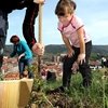 Un árbol por cada niño nacido en 2012