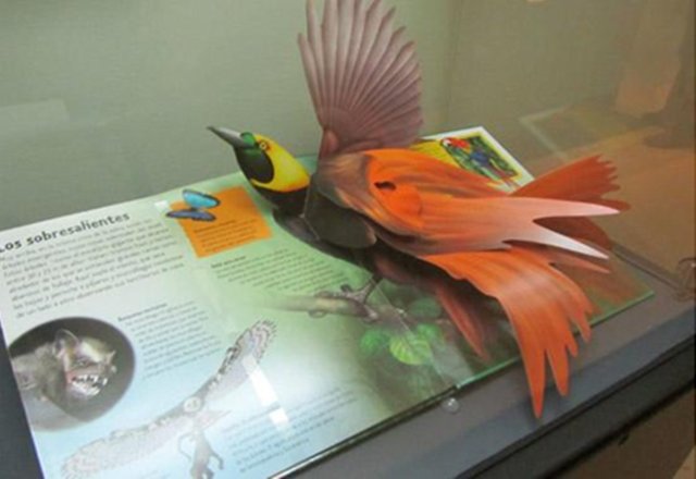 Atropello y fuga en Ávila